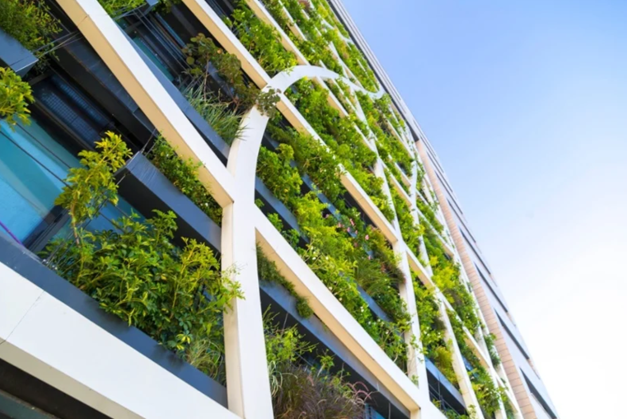 ريادي في إدارة المباني الخضراء LEED Green Associate